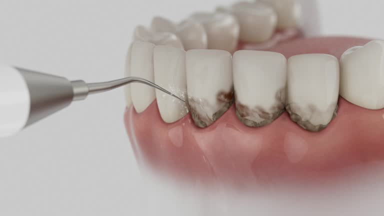 Reliable Dental contractor in French Island, WI by Dentist Open Now